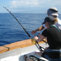 Half Day Deep Sea Fishing Charters in Grand Cayman (Not available)