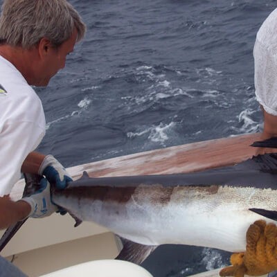 Reef-Fishing Charter